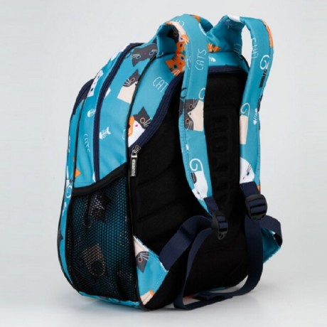 Школьный рюкзак Dolly 538