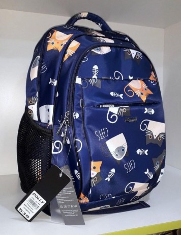 Школьный рюкзак Dolly 538