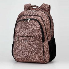 Школьный рюкзак Dolly 539