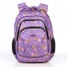 Школьный рюкзак Dolly 541