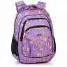 Школьный рюкзак Dolly 541