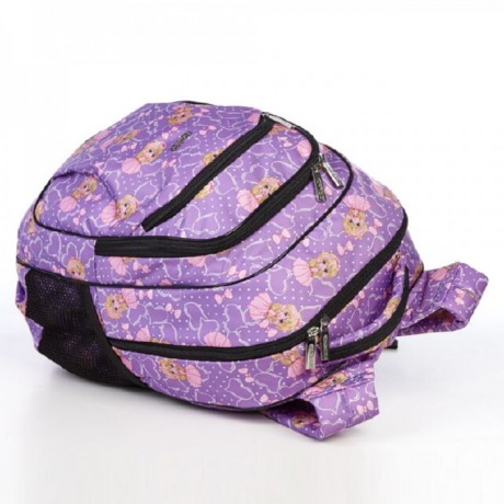 Школьный рюкзак Dolly 541