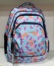 Школьный рюкзак Dolly 541