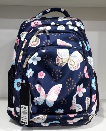 Школьный рюкзак Dolly 542