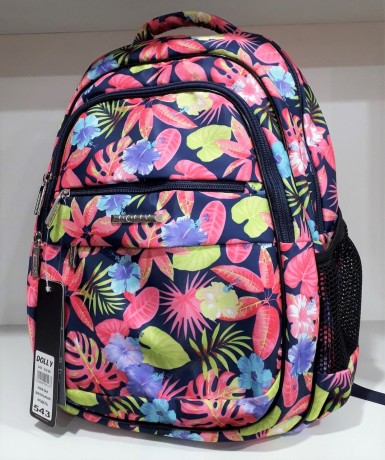 Школьный рюкзак Dolly 543