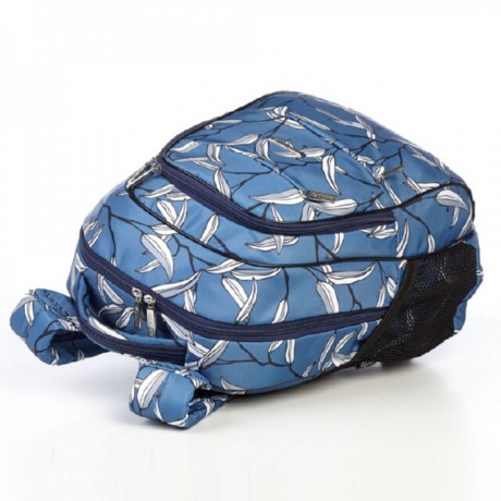 Школьный рюкзак Dolly 544