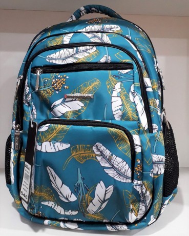 Школьный рюкзак Dolly 546