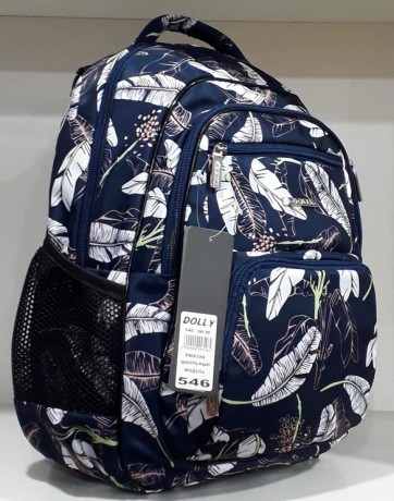 Школьный рюкзак Dolly 546